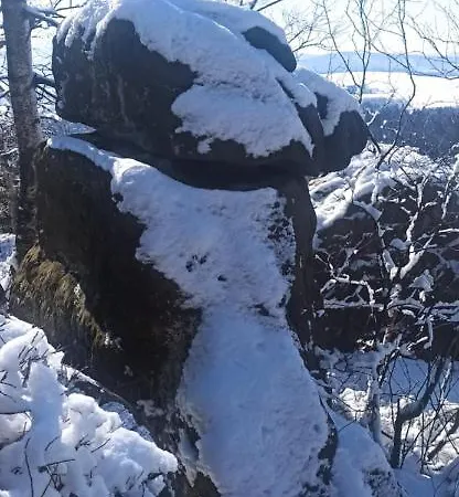 Lägenhet Kolonia Lesna Radkow