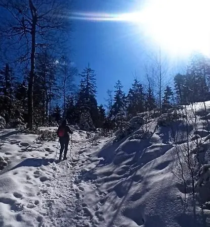 Kolonia Lesna *